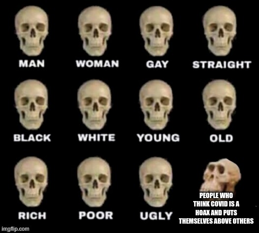 idiot skull | PEOPLE WHO THINK COVID IS A HOAX AND PUTS THEMSELVES ABOVE OTHERS | image tagged in idiot skull | made w/ Imgflip meme maker