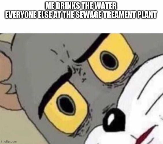 Tom Cat Unsettled Close up | ME DRINKS THE WATER 
EVERYONE ELSE AT THE SEWAGE TREAMENT PLANT | image tagged in tom cat unsettled close up | made w/ Imgflip meme maker