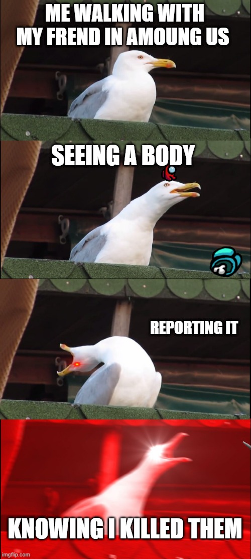 njhhgjbnkjbuzxbhbjbxjcbjxbcckxcsb | ME WALKING WITH MY FREND IN AMOUNG US; SEEING A BODY; REPORTING IT; KNOWING I KILLED THEM | image tagged in memes,inhaling seagull | made w/ Imgflip meme maker