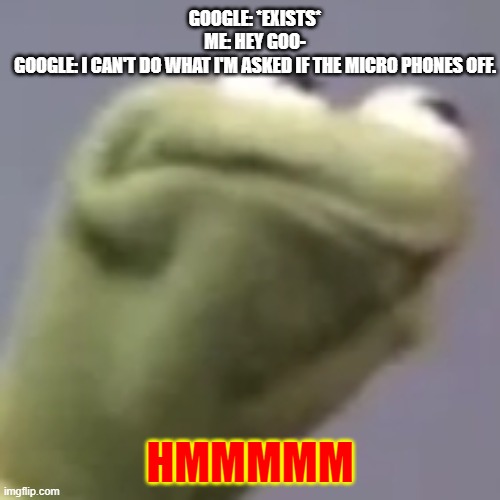 This is why I hate my google home sometimes. | GOOGLE: *EXISTS*
ME: HEY GOO-
GOOGLE: I CAN'T DO WHAT I'M ASKED IF THE MICRO PHONES OFF. HMMMMM | image tagged in hmmm kermit | made w/ Imgflip meme maker