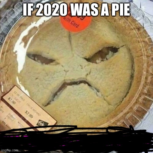 Do I say any more | IF 2020 WAS A PIE | image tagged in pie,funny,memes,2020 | made w/ Imgflip meme maker