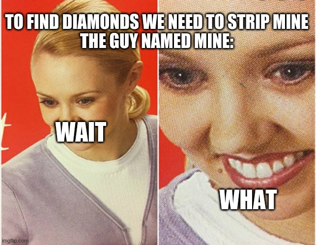 WAIT WHAT? | TO FIND DIAMONDS WE NEED TO STRIP MINE

THE GUY NAMED MINE:; WAIT; WHAT | image tagged in wait what | made w/ Imgflip meme maker