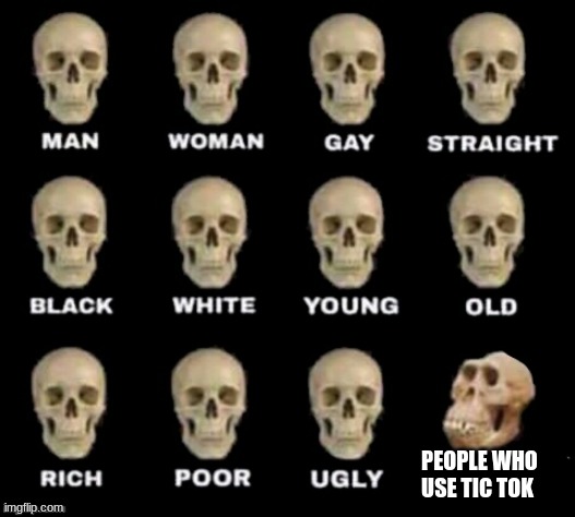 idiot skull | PEOPLE WHO USE TIC TOK | image tagged in idiot skull | made w/ Imgflip meme maker