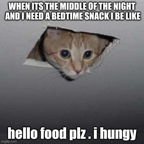 i hungy | WHEN ITS THE MIDDLE OF THE NIGHT  AND I NEED A BEDTIME SNACK I BE LIKE; hello food plz . i hungy | image tagged in memes,wall cat,by xs_nitro | made w/ Imgflip meme maker
