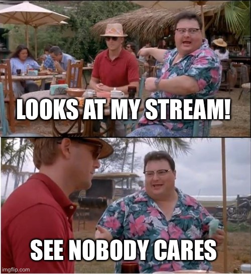 See Nobody Cares Meme | LOOKS AT MY STREAM! SEE NOBODY CARES | image tagged in memes,see nobody cares | made w/ Imgflip meme maker