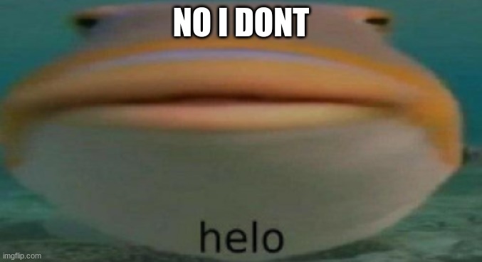 helo | NO I DONT | image tagged in helo | made w/ Imgflip meme maker