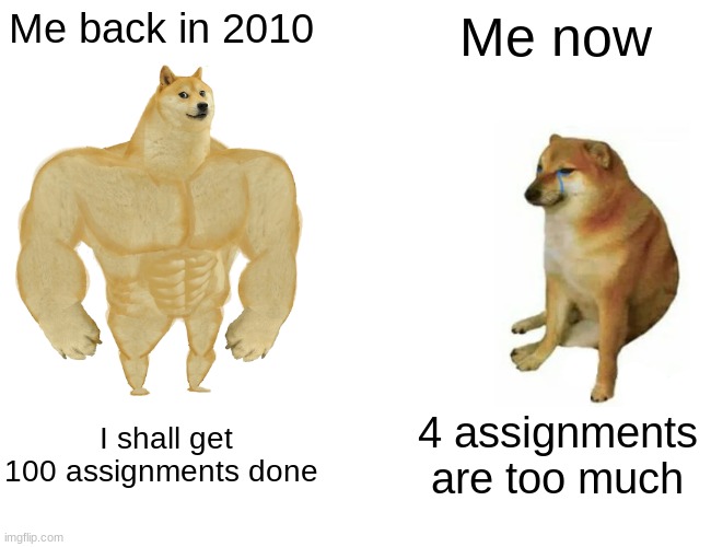 Buff Doge vs. Cheems | Me back in 2010; Me now; I shall get 100 assignments done; 4 assignments are too much | image tagged in memes,buff doge vs cheems | made w/ Imgflip meme maker