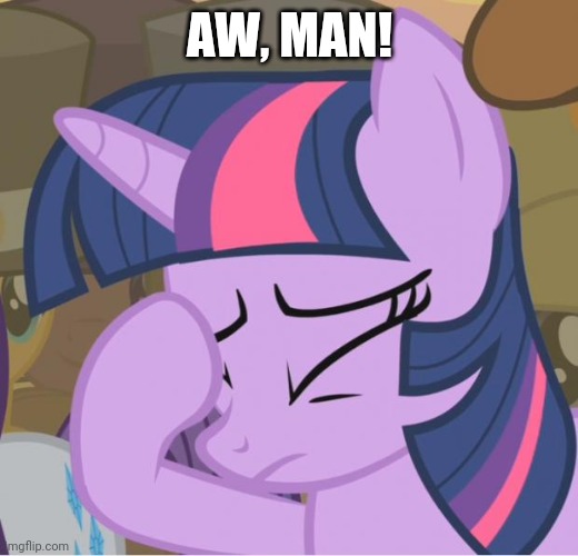 Mlp Twilight Sparkle facehoof | AW, MAN! | image tagged in mlp twilight sparkle facehoof | made w/ Imgflip meme maker