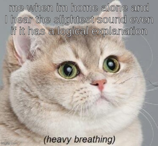 Oh no | me when im home alone and I hear the slightest sound even if it has a logical explanation | image tagged in oh no,ohno,help | made w/ Imgflip meme maker