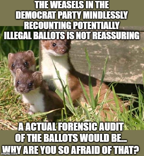 yep | THE WEASELS IN THE DEMOCRAT PARTY MINDLESSLY RECOUNTING POTENTIALLY ILLEGAL BALLOTS IS NOT REASSURING; A ACTUAL FORENSIC AUDIT OF THE BALLOTS WOULD BE... WHY ARE YOU SO AFRAID OF THAT? | image tagged in voter fraud,democrats,communism | made w/ Imgflip meme maker