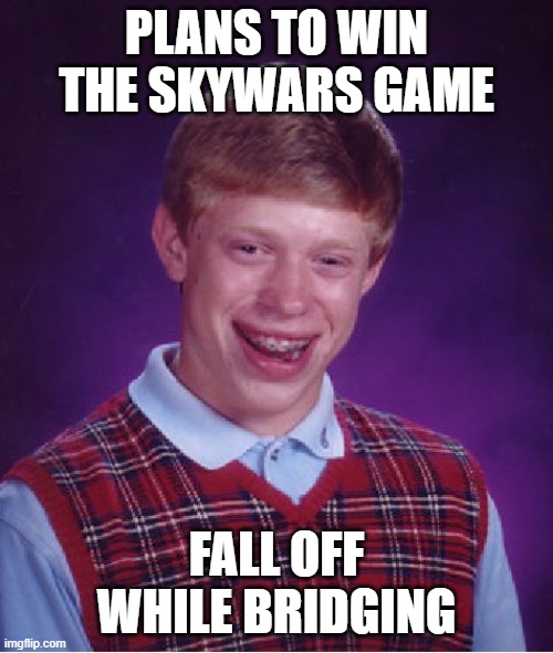 Bad Luck Brian Meme | PLANS TO WIN THE SKYWARS GAME; FALL OFF WHILE BRIDGING | image tagged in memes,bad luck brian | made w/ Imgflip meme maker