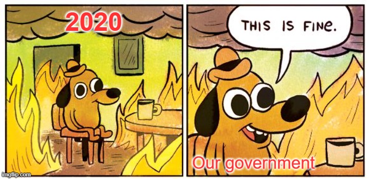 This Is Fine | 2020; Our government | image tagged in memes,this is fine | made w/ Imgflip meme maker