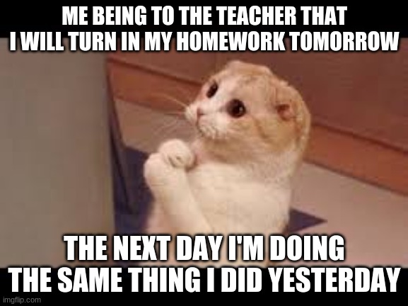 ME BEING TO THE TEACHER THAT I WILL TURN IN MY HOMEWORK TOMORROW; THE NEXT DAY I'M DOING THE SAME THING I DID YESTERDAY | image tagged in funny cat memes | made w/ Imgflip meme maker