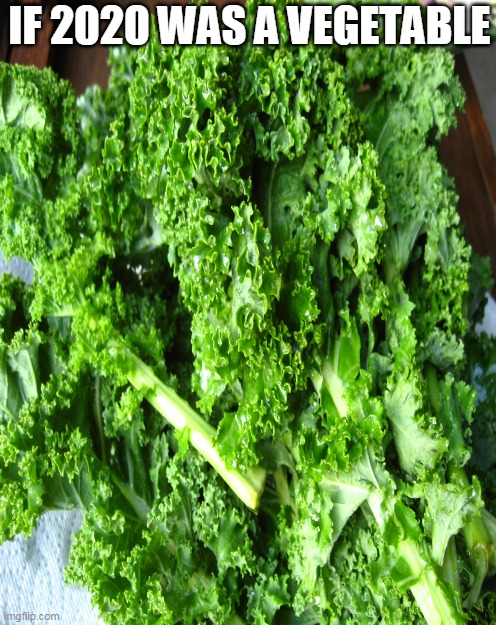 Kale... Everyone's least favorite vegetable. | IF 2020 WAS A VEGETABLE | image tagged in memes,blank transparent square,kale,2020 sucks,2020 succ | made w/ Imgflip meme maker