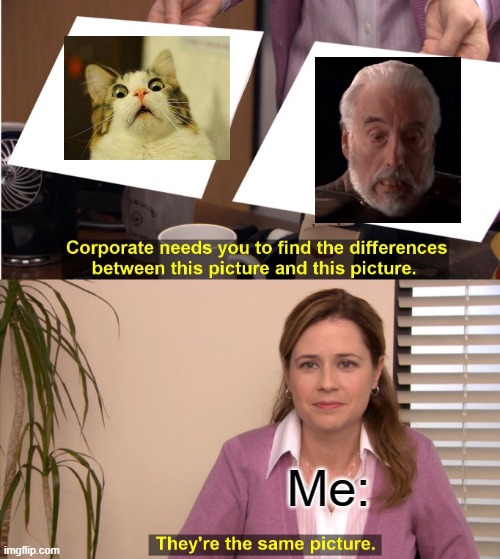 They're The Same Picture | Me: | image tagged in memes,they're the same picture | made w/ Imgflip meme maker