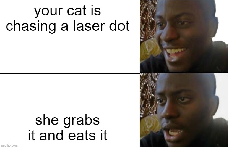 :0 | your cat is chasing a laser dot; she grabs it and eats it | image tagged in disappointed black guy,cats | made w/ Imgflip meme maker