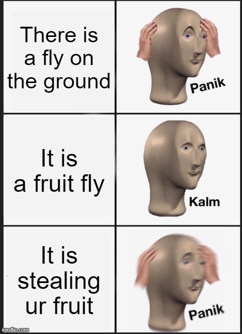 Stop the fruit fly! | There is a fly on the ground; It is a fruit fly; It is stealing ur fruit | image tagged in memes,panik kalm panik,fruit fly | made w/ Imgflip meme maker