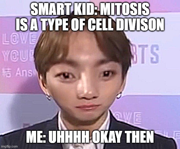 mitosis (this was for school) | SMART KID: MITOSIS IS A TYPE OF CELL DIVISON; ME: UHHHH OKAY THEN | image tagged in bts,science | made w/ Imgflip meme maker