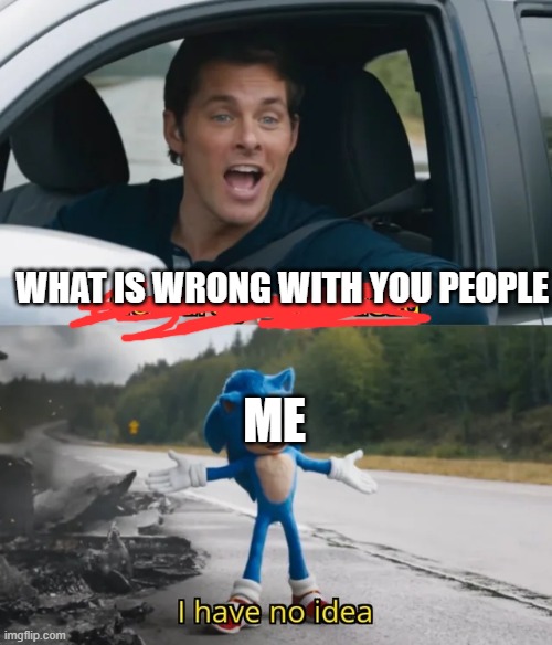 Sonic I have no idea | WHAT IS WRONG WITH YOU PEOPLE ME | image tagged in sonic i have no idea | made w/ Imgflip meme maker