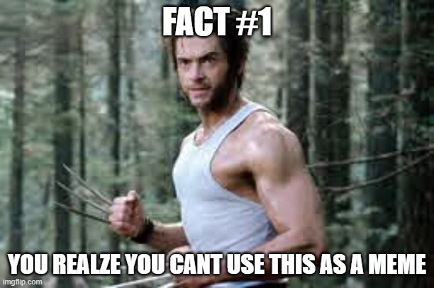 FACT #1; YOU REALZE YOU CANT USE THIS AS A MEME | image tagged in funny | made w/ Imgflip meme maker