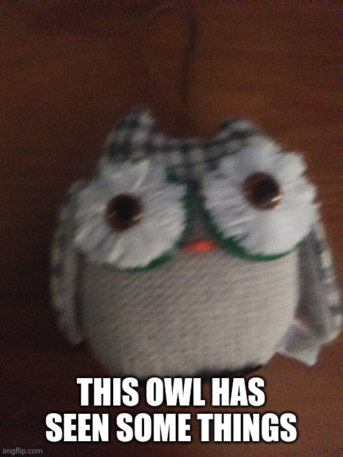 Hmmm | THIS OWL HAS SEEN SOME THINGS | image tagged in bruh | made w/ Imgflip meme maker