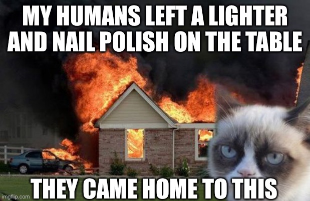 Grumps cat meme | MY HUMANS LEFT A LIGHTER AND NAIL POLISH ON THE TABLE; THEY CAME HOME TO THIS | image tagged in memes,burn kitty,grumpy cat | made w/ Imgflip meme maker