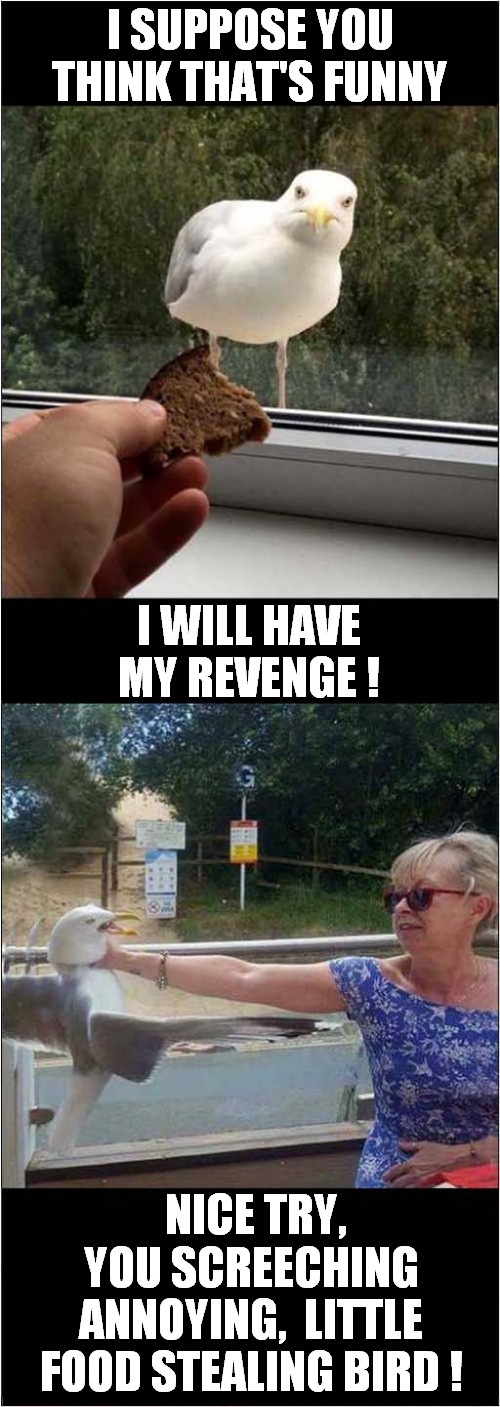 Seagull Revenge Thwarted ! | I SUPPOSE YOU THINK THAT'S FUNNY; I WILL HAVE MY REVENGE ! NICE TRY, YOU SCREECHING ANNOYING,  LITTLE FOOD STEALING BIRD ! | image tagged in fun,seagull,theft,frontpage | made w/ Imgflip meme maker