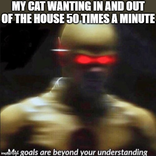 my goals are beyond your understanding | MY CAT WANTING IN AND OUT OF THE HOUSE 50 TIMES A MINUTE | image tagged in my goals are beyond your understanding,i'm 15 so don't try it,who reads these | made w/ Imgflip meme maker