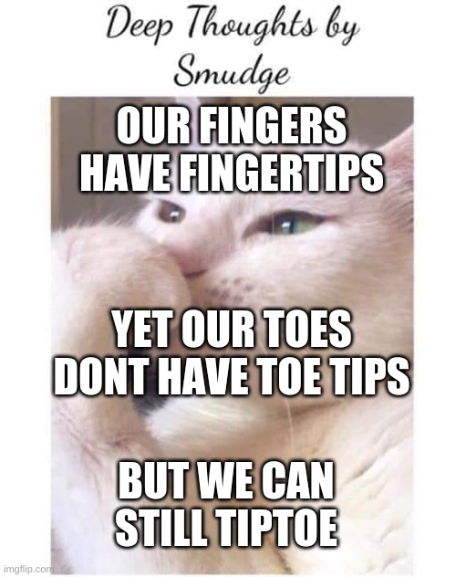 Ever thought like this? | OUR FINGERS HAVE FINGERTIPS; YET OUR TOES DONT HAVE TOE TIPS; BUT WE CAN STILL TIPTOE | image tagged in deep-thoughts-by-smudge | made w/ Imgflip meme maker