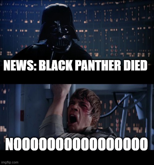 Star Wars No Meme | NEWS: BLACK PANTHER DIED; NOOOOOOOOOOOOOOOO | image tagged in memes,star wars no | made w/ Imgflip meme maker