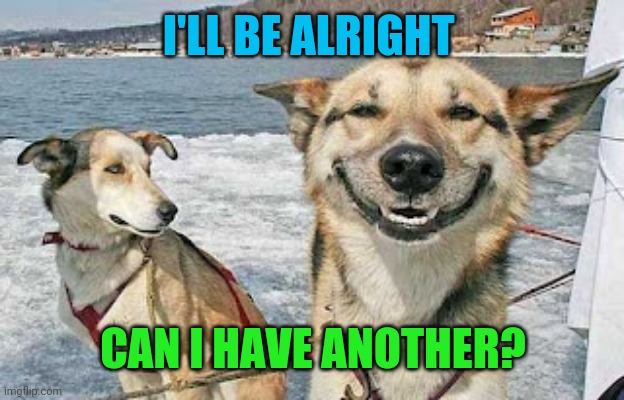 Original Stoner Dog Meme | I'LL BE ALRIGHT CAN I HAVE ANOTHER? | image tagged in memes,original stoner dog | made w/ Imgflip meme maker