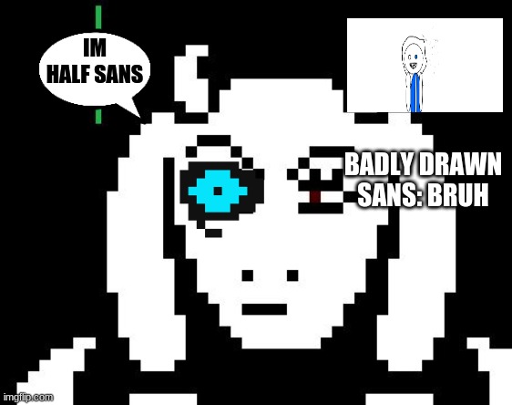 badly drawn sans reacts to toriel saying "im half sans" | IM HALF SANS; BADLY DRAWN SANS: BRUH | image tagged in undertale - toriel | made w/ Imgflip meme maker