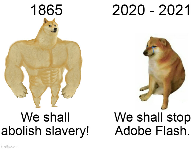 Uninteligent being want to delete Adobe Flash. | 1865; 2020 - 2021; We shall abolish slavery! We shall stop Adobe Flash. | image tagged in memes,buff doge vs cheems | made w/ Imgflip meme maker