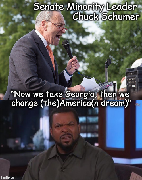 changing the American Dream | Senate Minority Leader 
Chuck Schumer; “Now we take Georgia, then we 
change (the)America(n dream)" | image tagged in politics | made w/ Imgflip meme maker