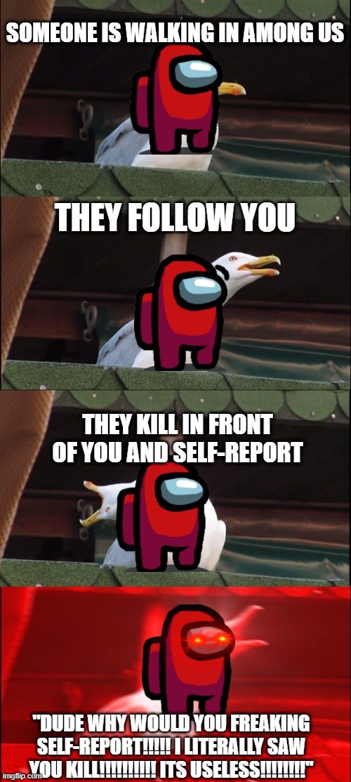 Don't you hate this? | SOMEONE IS WALKING IN AMONG US; THEY FOLLOW YOU; THEY KILL IN FRONT OF YOU AND SELF-REPORT; "DUDE WHY WOULD YOU FREAKING SELF-REPORT!!!!! I LITERALLY SAW YOU KILL!!!!!!!!!! ITS USELESS!!!!!!!!" | image tagged in memes,inhaling seagull | made w/ Imgflip meme maker