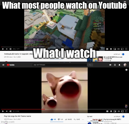 What I Watch On Youtube | What most people watch on Youtube; What I watch | image tagged in minecraft,popcat,youtube,loverfella,what i watch,lol | made w/ Imgflip meme maker