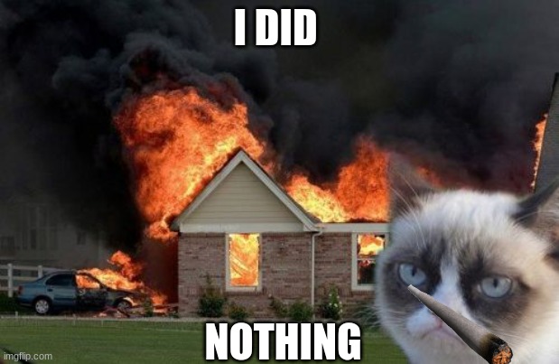 Burn Kitty | I DID; NOTHING | image tagged in memes,burn kitty,grumpy cat | made w/ Imgflip meme maker