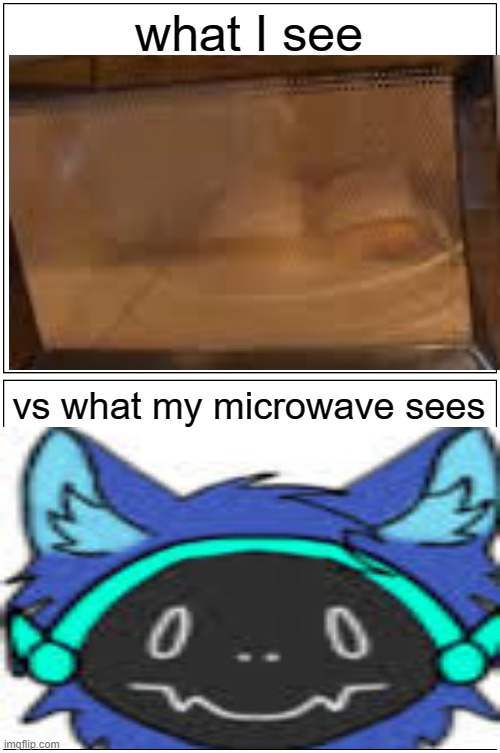 Blank Comic Panel 1x2 | what I see; vs what my microwave sees | image tagged in memes,what i see vs,hot pockets,protogen | made w/ Imgflip meme maker