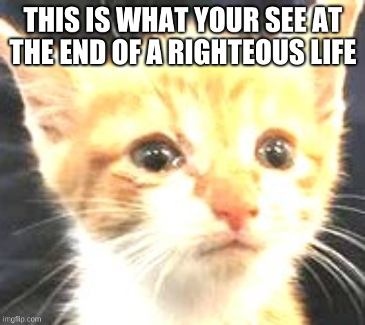 THIS IS WHAT YOUR SEE AT THE END OF A RIGHTEOUS LIFE | image tagged in heaven | made w/ Imgflip meme maker