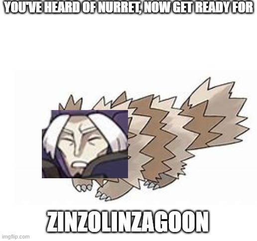 YOU'VE HEARD OF NURRET, NOW GET READY FOR; ZINZOLINZAGOON | image tagged in blank white template,pokemon,cursed image,zinzolin,zigzagoon | made w/ Imgflip meme maker