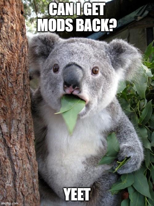 yeet | CAN I GET MODS BACK? YEET | image tagged in memes,surprised koala,yeet | made w/ Imgflip meme maker