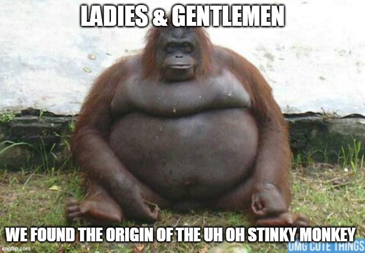LE ORIGIN OF LE MONKE/UH OH STINKY MONKEY | LADIES & GENTLEMEN; WE FOUND THE ORIGIN OF THE UH OH STINKY MONKEY | image tagged in fat chimpanzee | made w/ Imgflip meme maker