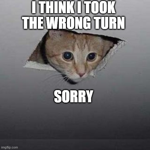 Cat in ceiling | I THINK I TOOK THE WRONG TURN; SORRY | image tagged in memes,ceiling cat,turn right | made w/ Imgflip meme maker