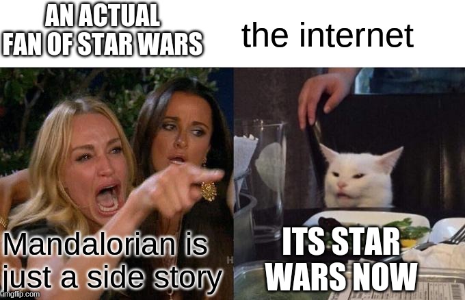 Woman Yelling At Cat Meme | AN ACTUAL FAN OF STAR WARS; the internet; ITS STAR WARS NOW; Mandalorian is just a side story | image tagged in memes,woman yelling at cat | made w/ Imgflip meme maker