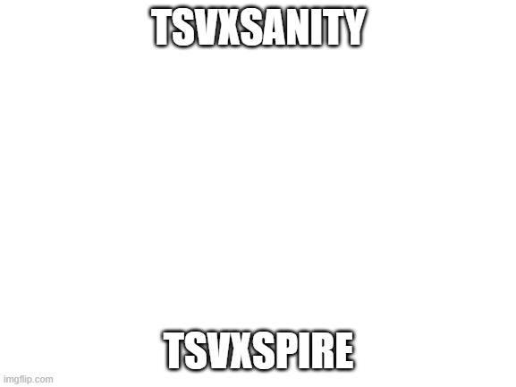 Blank White Template | TSVXSANITY; TSVXSPIRE | image tagged in blank white template | made w/ Imgflip meme maker