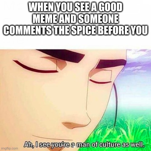 Ah,I see you are a man of culture as well | WHEN YOU SEE A GOOD MEME AND SOMEONE COMMENTS THE SPICE BEFORE YOU | image tagged in ah i see you are a man of culture as well | made w/ Imgflip meme maker