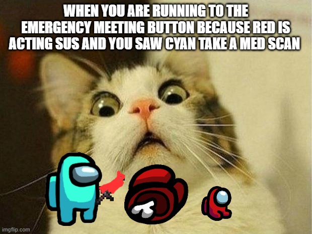 Scared Cat | WHEN YOU ARE RUNNING TO THE EMERGENCY MEETING BUTTON BECAUSE RED IS ACTING SUS AND YOU SAW CYAN TAKE A MED SCAN | image tagged in memes,scared cat | made w/ Imgflip meme maker