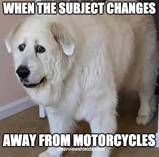 Motorcycle Dog | WHEN THE SUBJECT CHANGES; AWAY FROM MOTORCYCLES; clearviewshields.com | image tagged in motorcycles,motorcycle | made w/ Imgflip meme maker