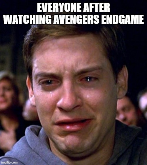 crying peter parker | EVERYONE AFTER WATCHING AVENGERS ENDGAME | image tagged in crying peter parker | made w/ Imgflip meme maker