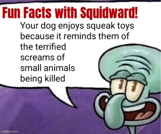 Why dogs like squeaky toys. | image tagged in memes,funny,dogs,pandaboyplaysyt,toys | made w/ Imgflip meme maker